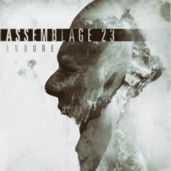 Assemblage 23 - Endure