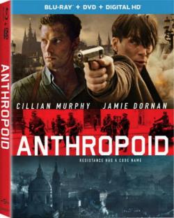  / Anthropoid DUB