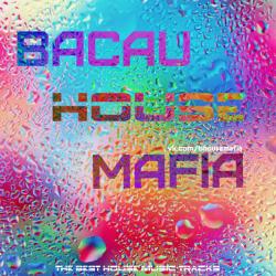 VA - BacauHouseMafia vol.15