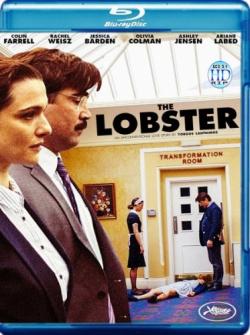  / The Lobster MVO