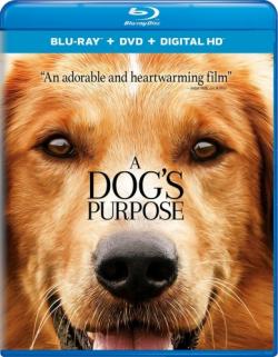   / A Dog's Purpose DUB