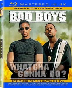   / Bad Boys DUB