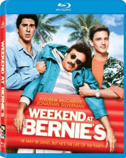 -   / Weekend at Bernie's MVO+AVO