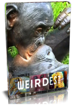    :   .    / NAT GEO WILD. World's weirdest. Friends with benefits VO