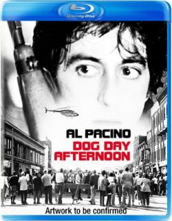   / Dog Day Afternoon MVO+AVO