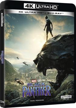 ׸  / Black Panther DUB+MVO